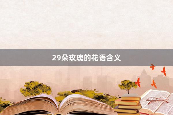 29朵玫瑰的花语含义